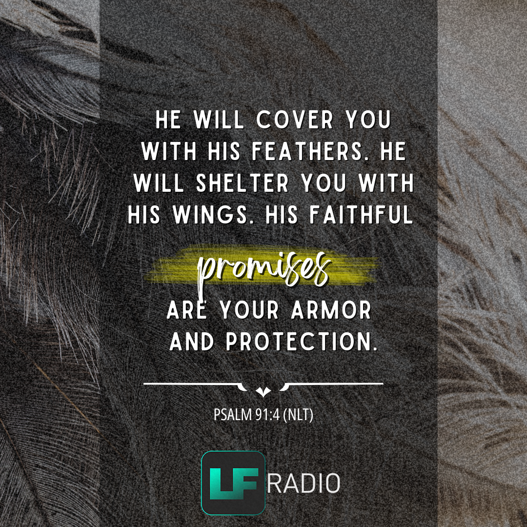Psalm 91:4 - Verse of the Day