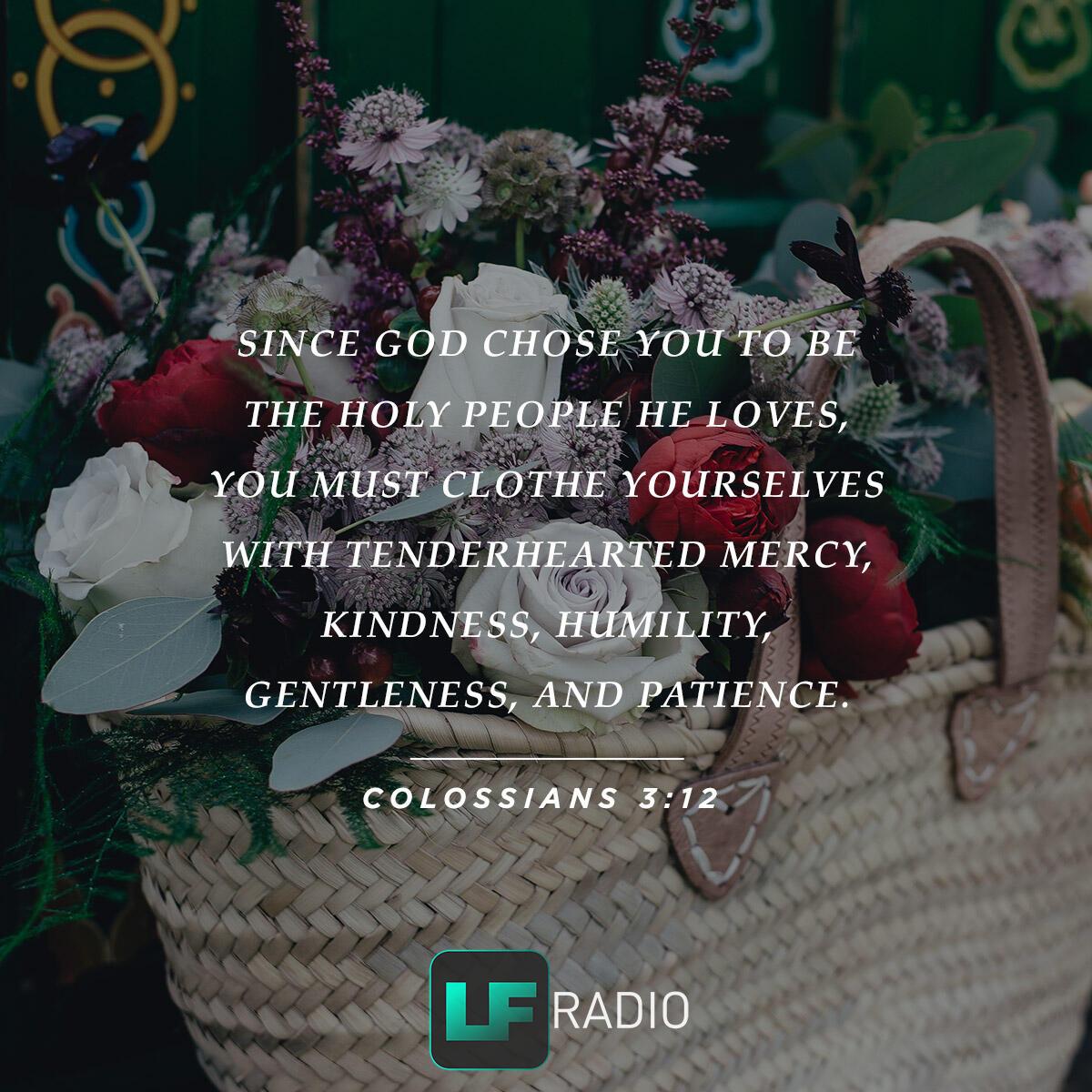Colossians 3:12 - Verse of the Day