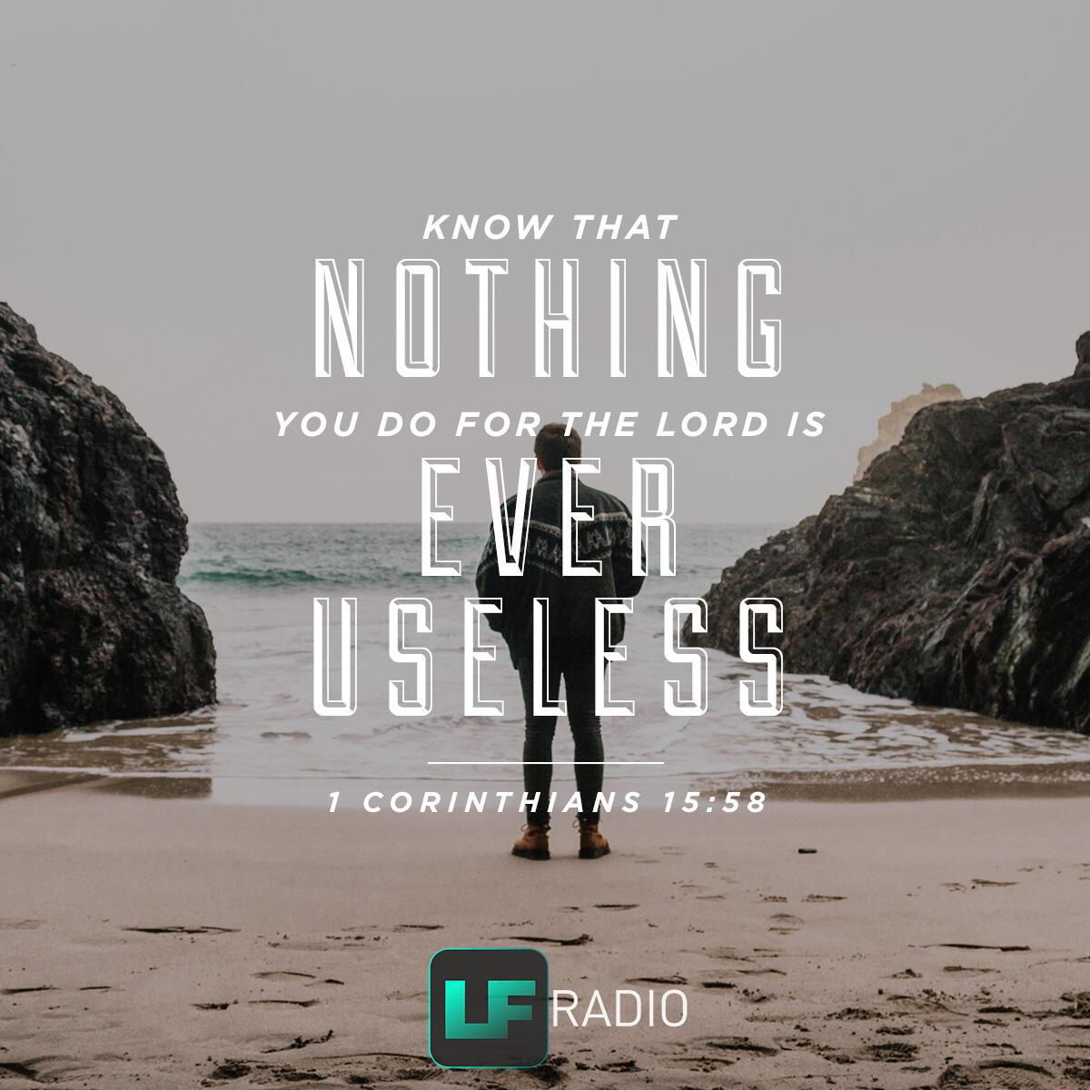 1 Corinthians 15:58 - Verse of the Day