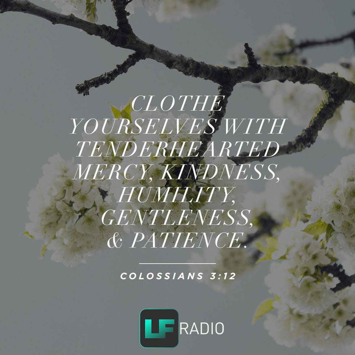 Colossians 3:12 - Verse of the Day