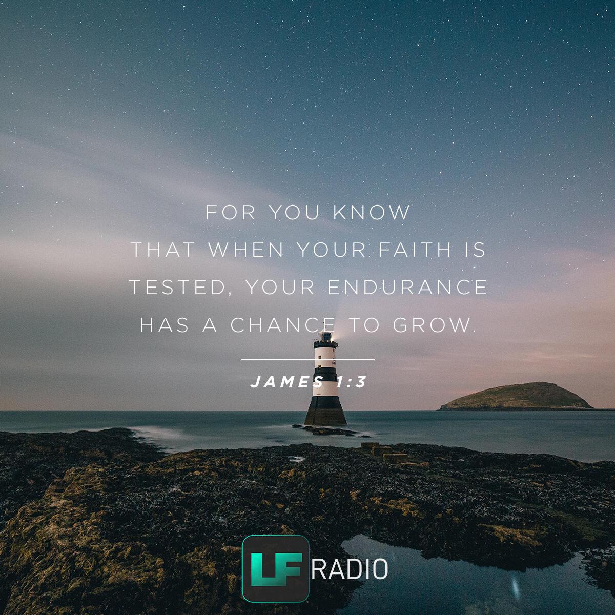 James 1:3 - Verse of the Day