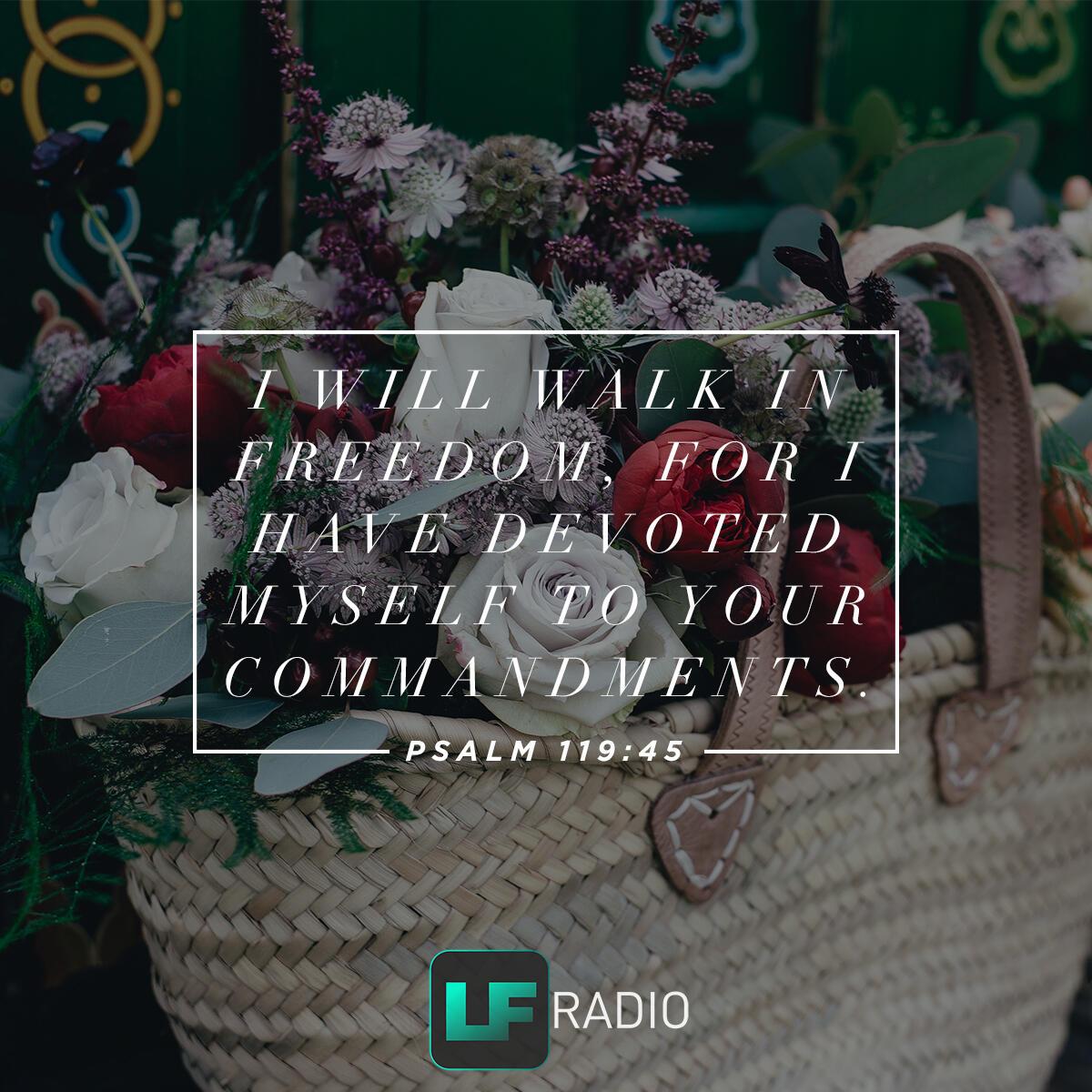 Psalm 119:45 - Verse of the Day