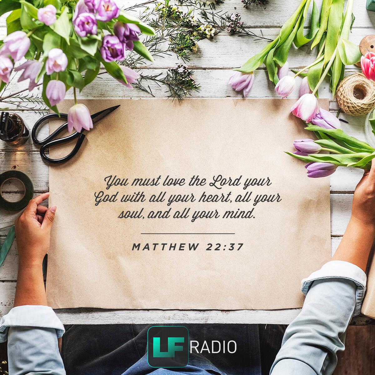 Matthew 22:37 - Verse of the Day