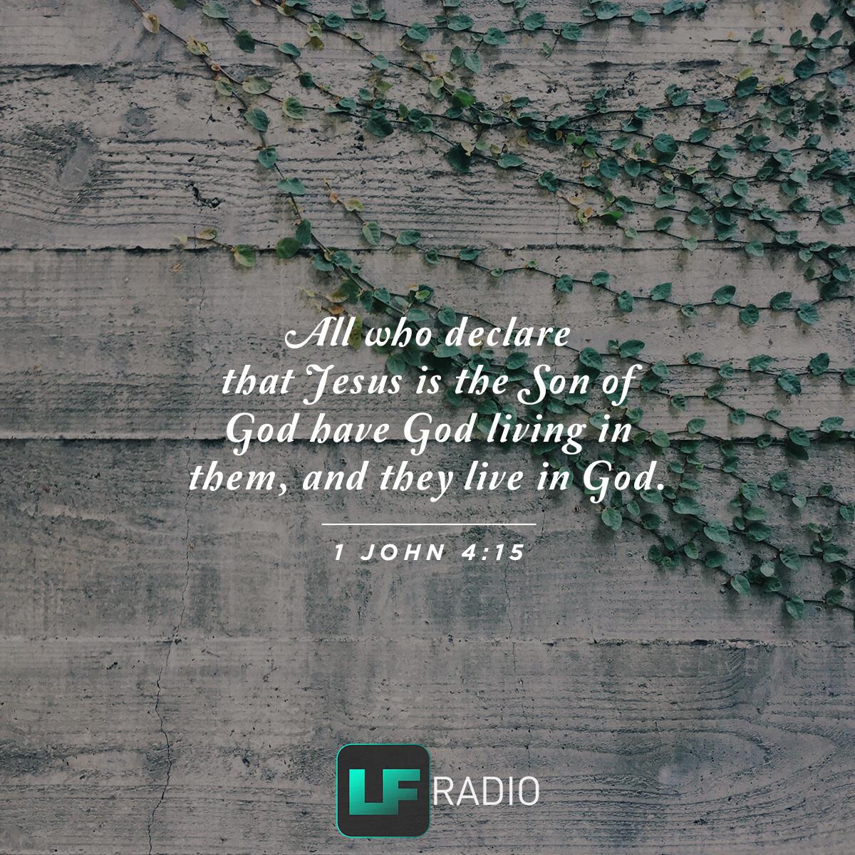 1 John 4:15 - Verse of the Day