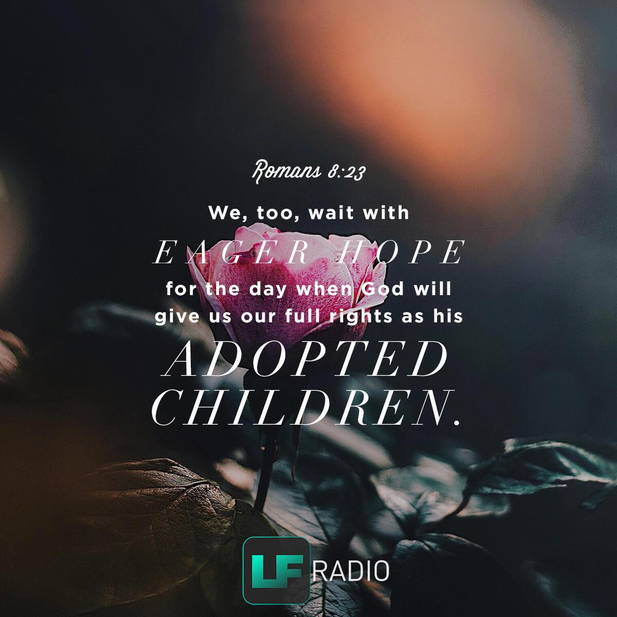 Romans 8:23 - Verse of the Day