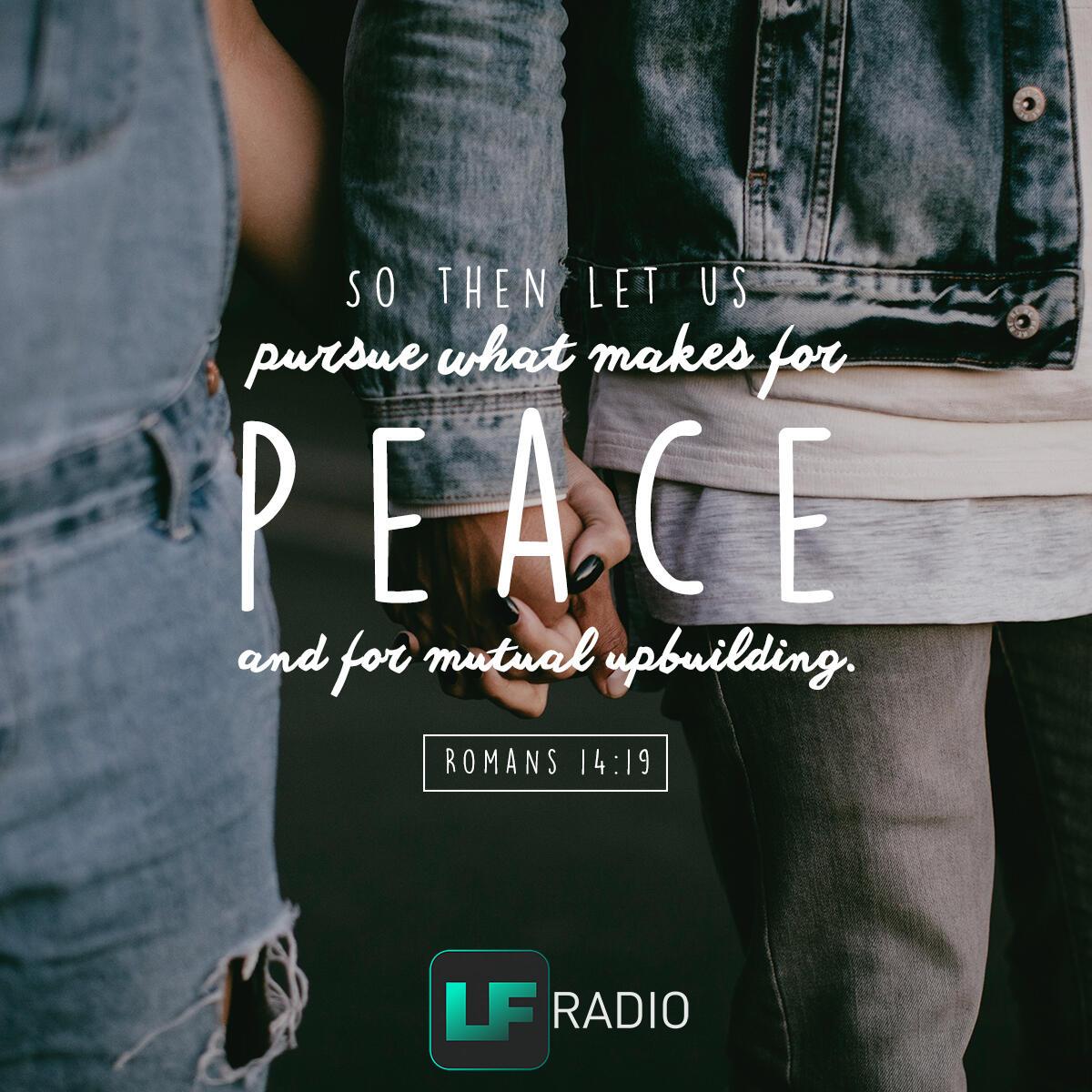 Romans 14:19 - Verse of the Day