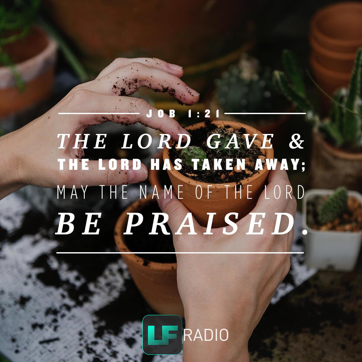 Job 1:21 - Verse of the Day