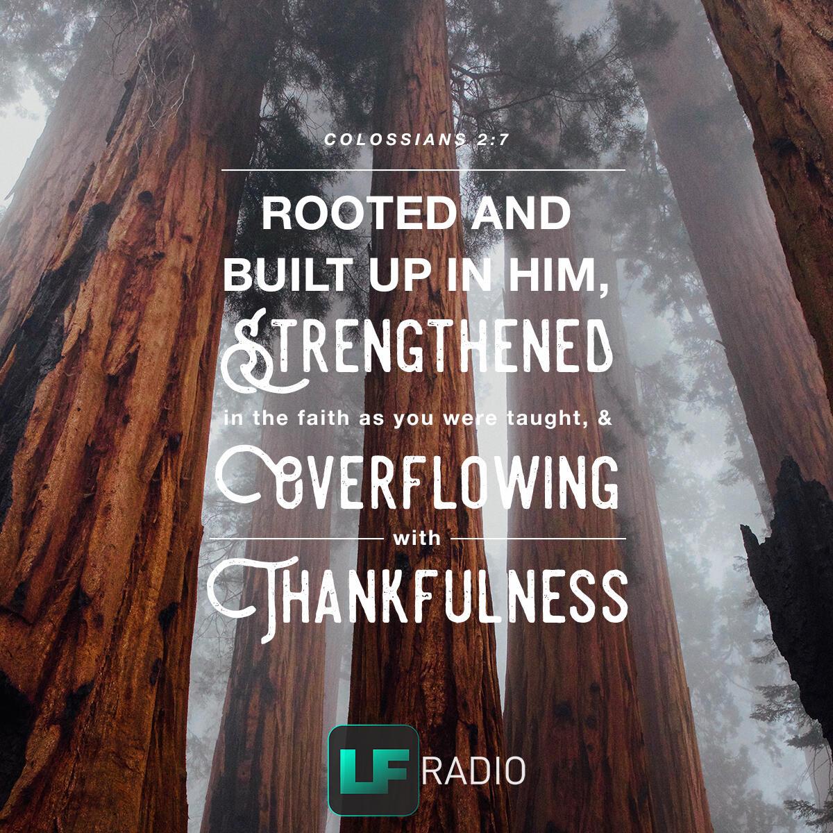 Colossians 2:7 - Verse of the Day