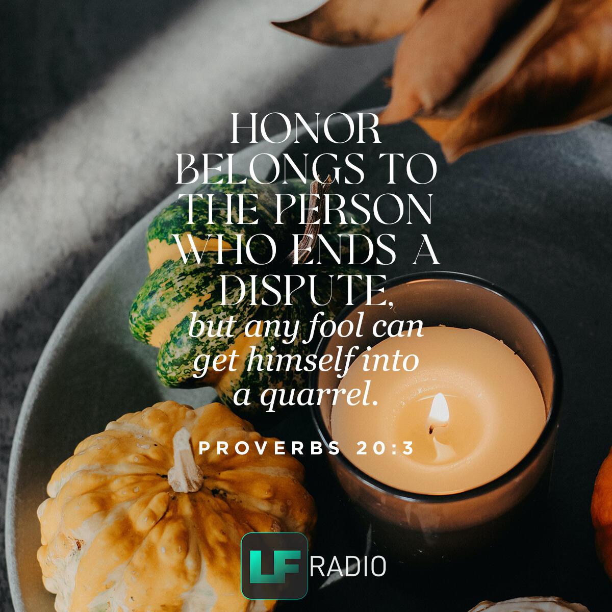 Proverbs 20:3