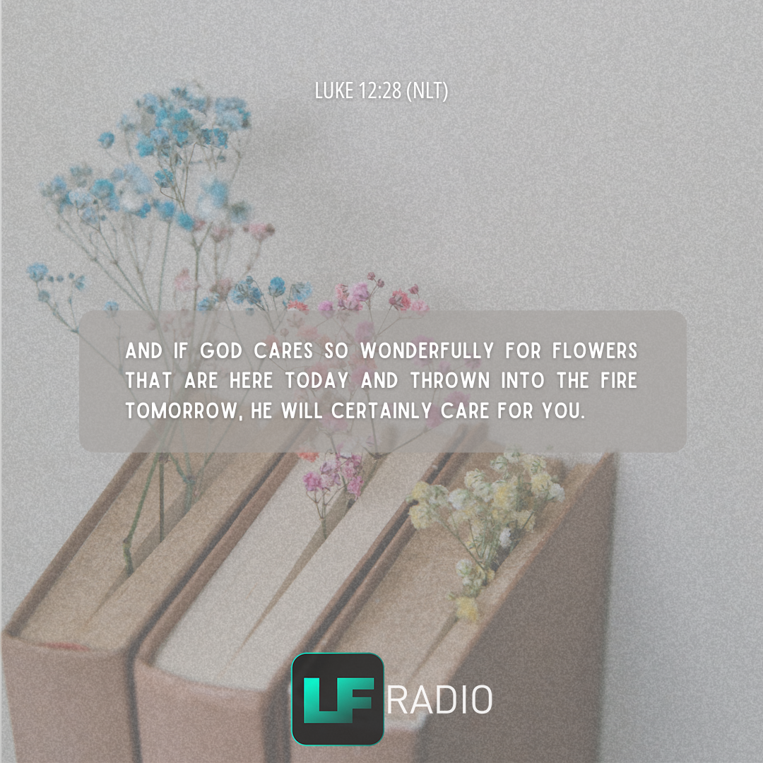 Luke 12:28