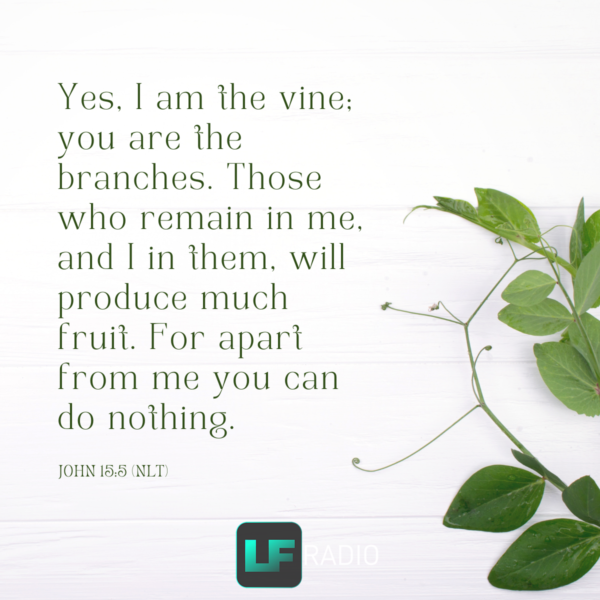 John 15:5 - Verse of the Day