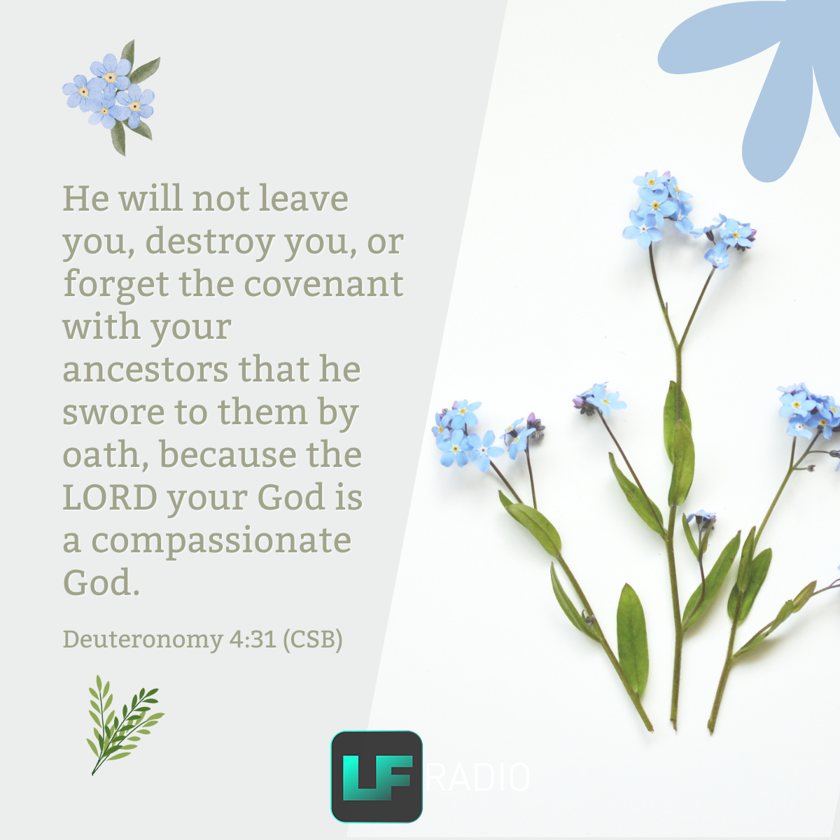 Deuteronomy 4:31 - Verse of the Day
