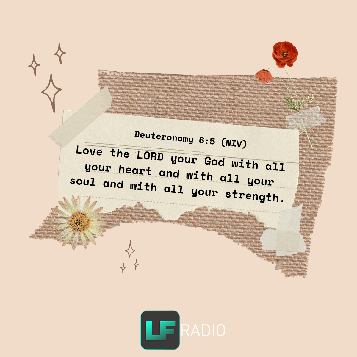 Deuteronomy 6:5 - Verse of the Day