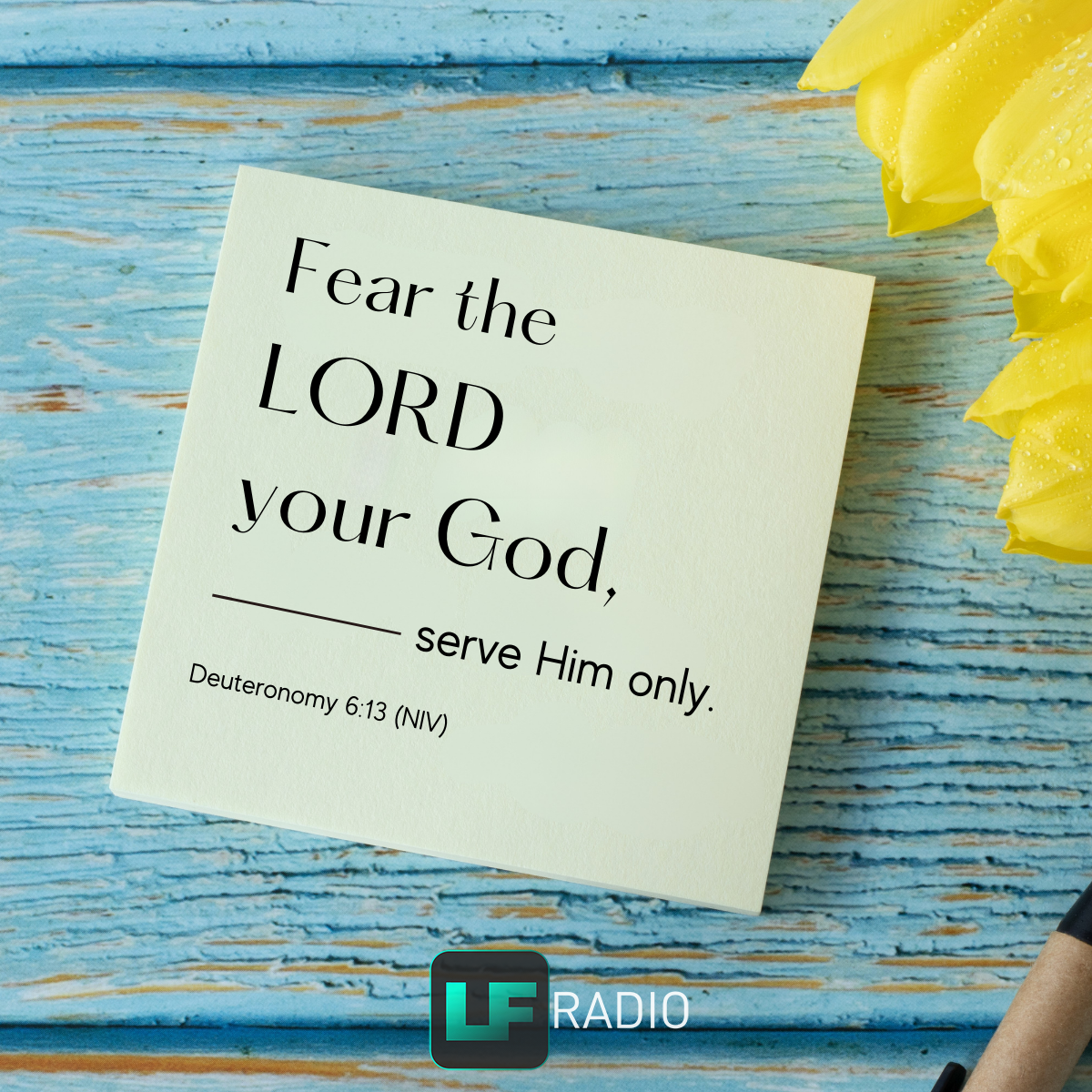 Deuteronomy 6:13 - Verse of the Day