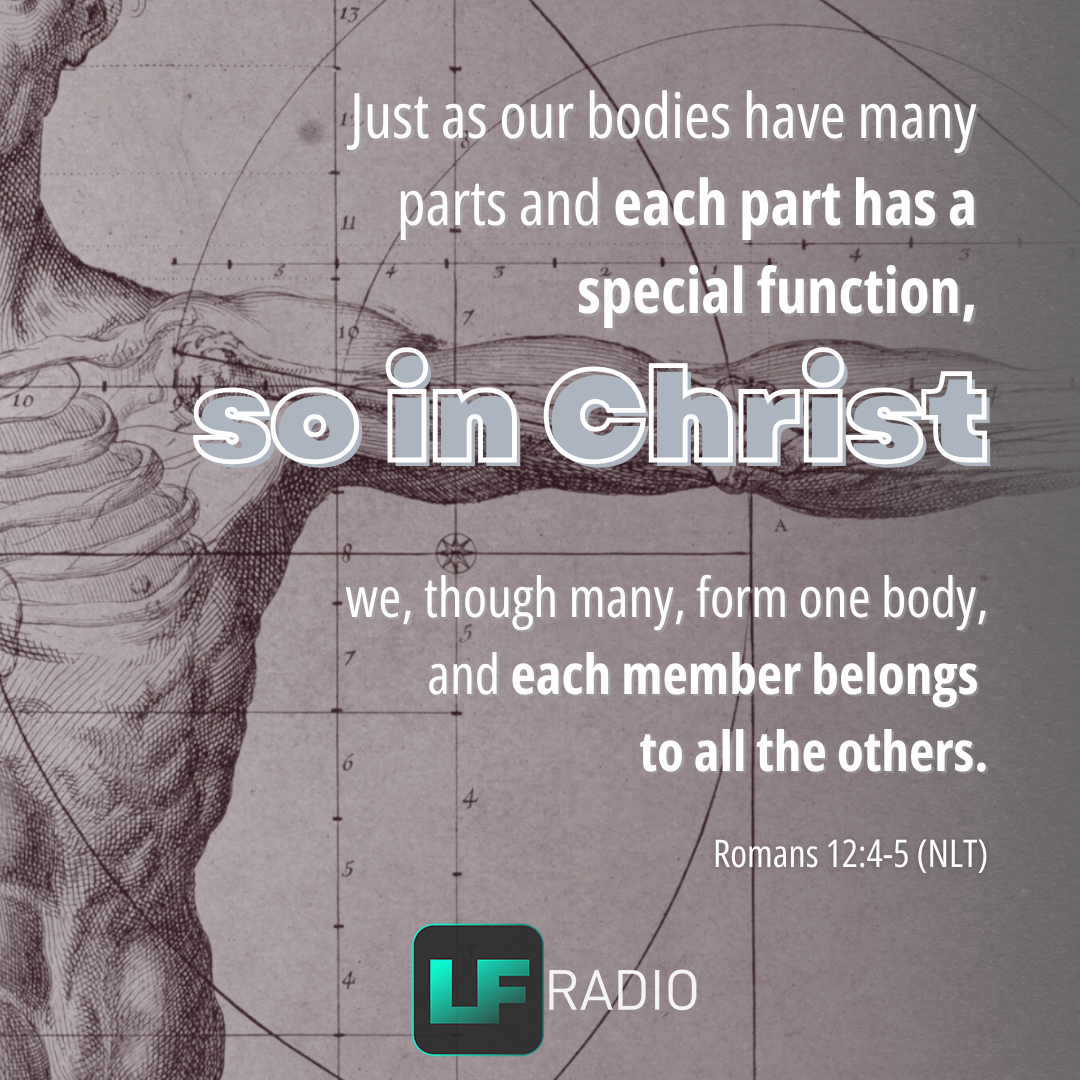 Romans 12:4-5 - Verse of the Day