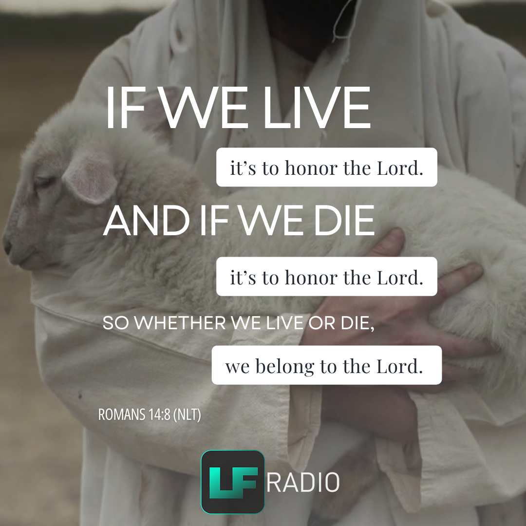 Romans 14:8 - Verse of the Day
