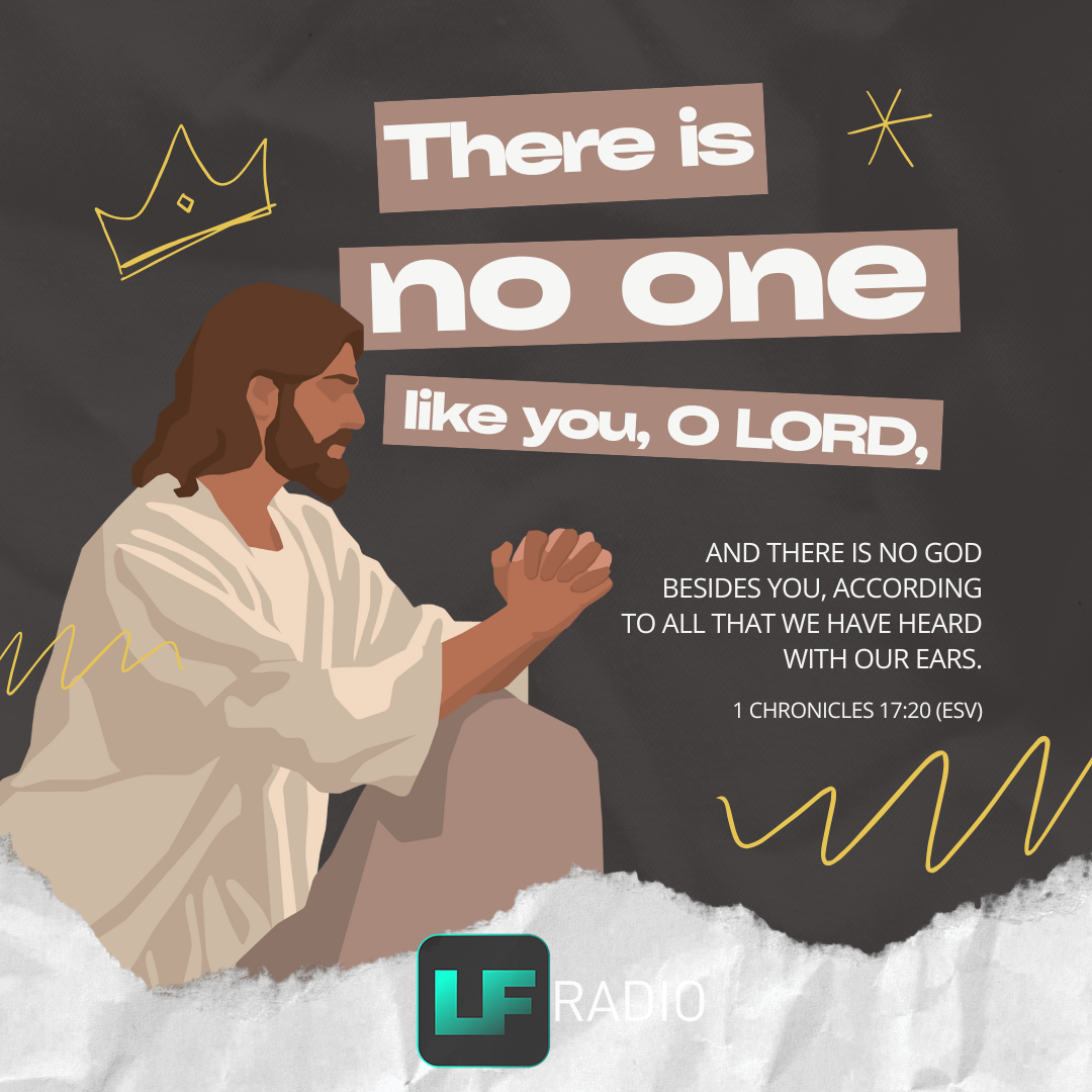 1 Chronicles 17:20