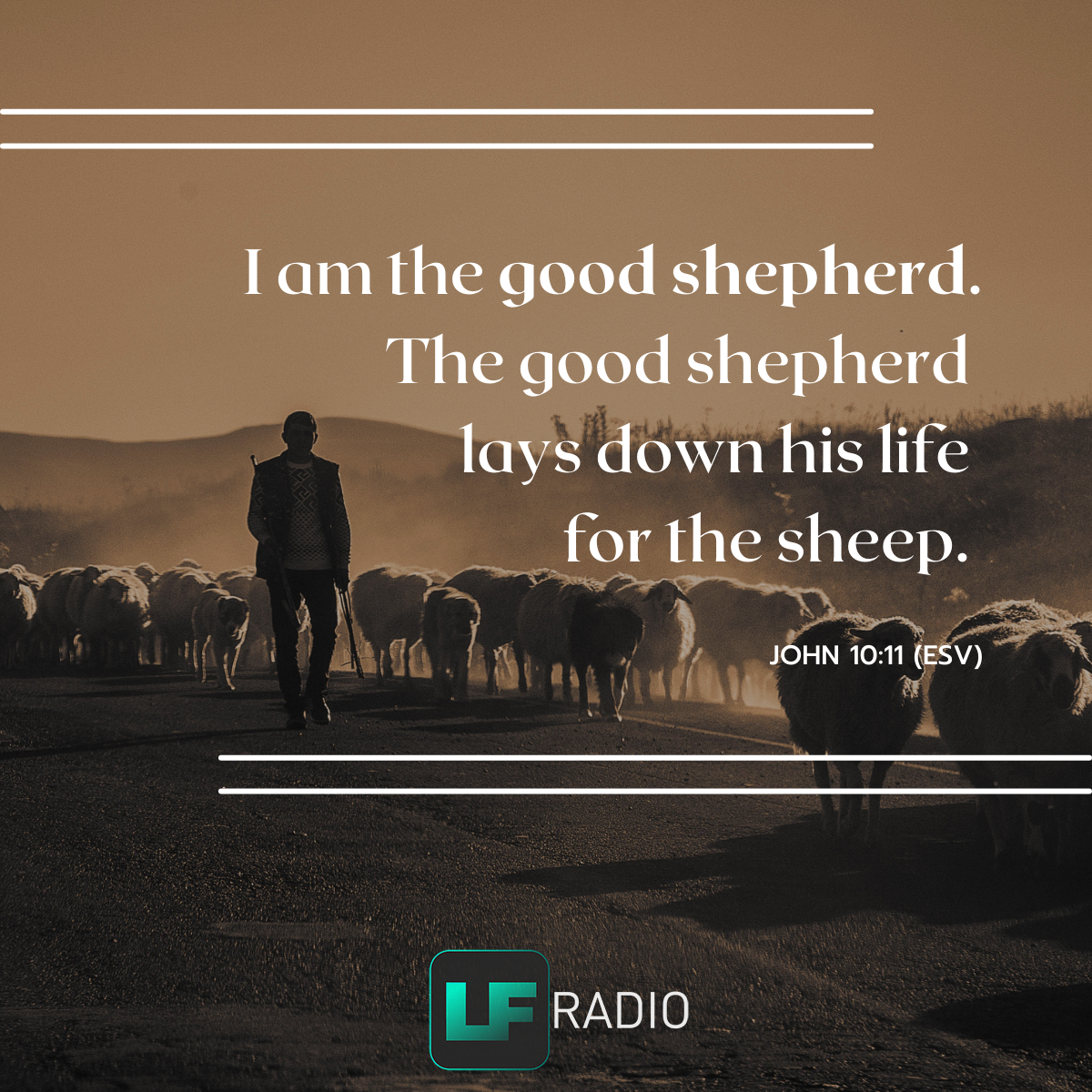 John 10:11 - Verse of the Day