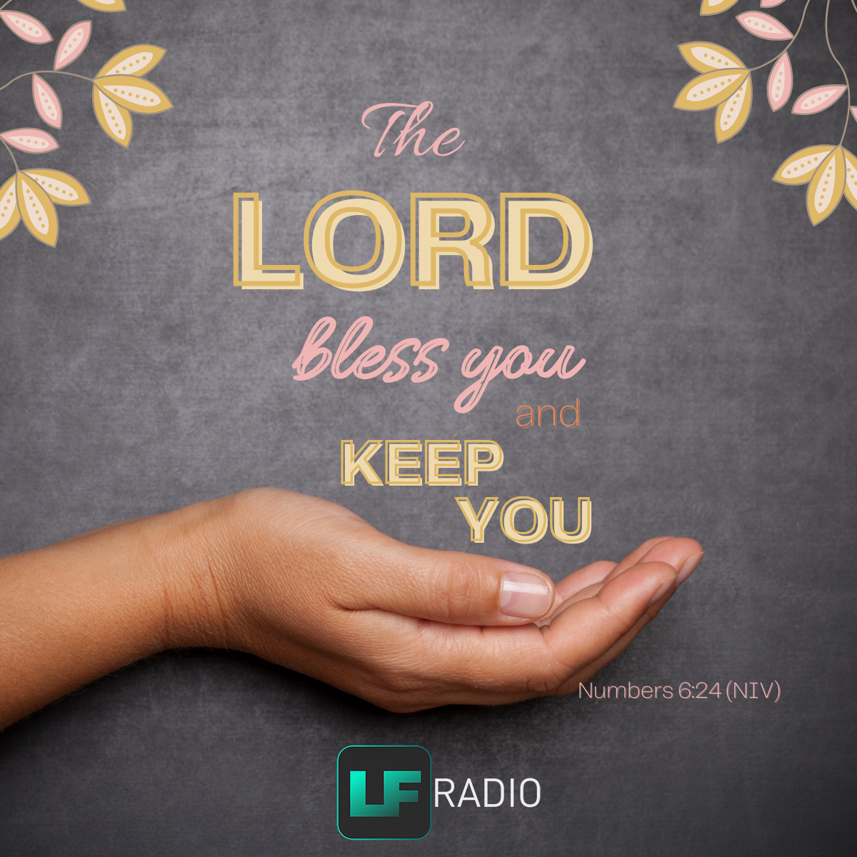 Numbers 6:24 - Verse of the Day