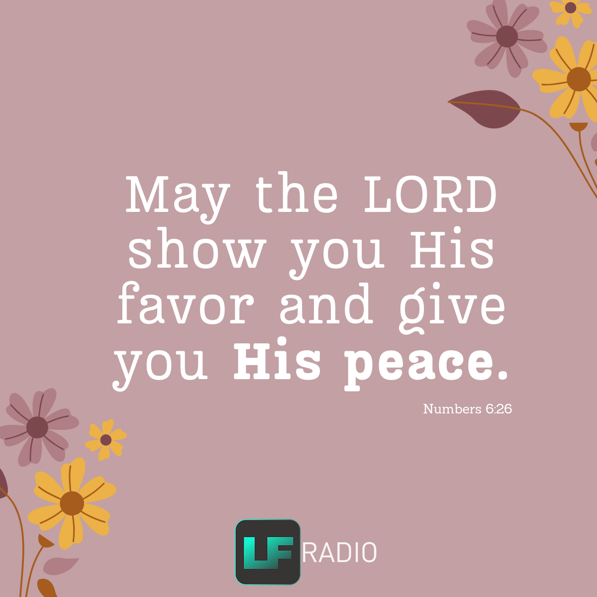 Numbers 6:26 - Verse of the Day