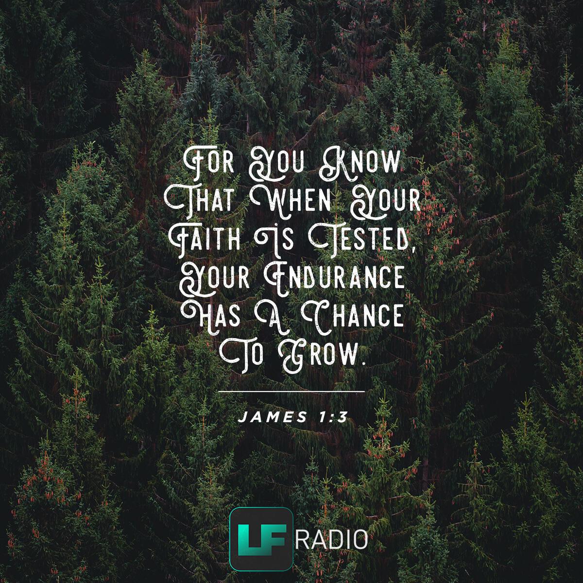 James 1:3 - Verse of the Day