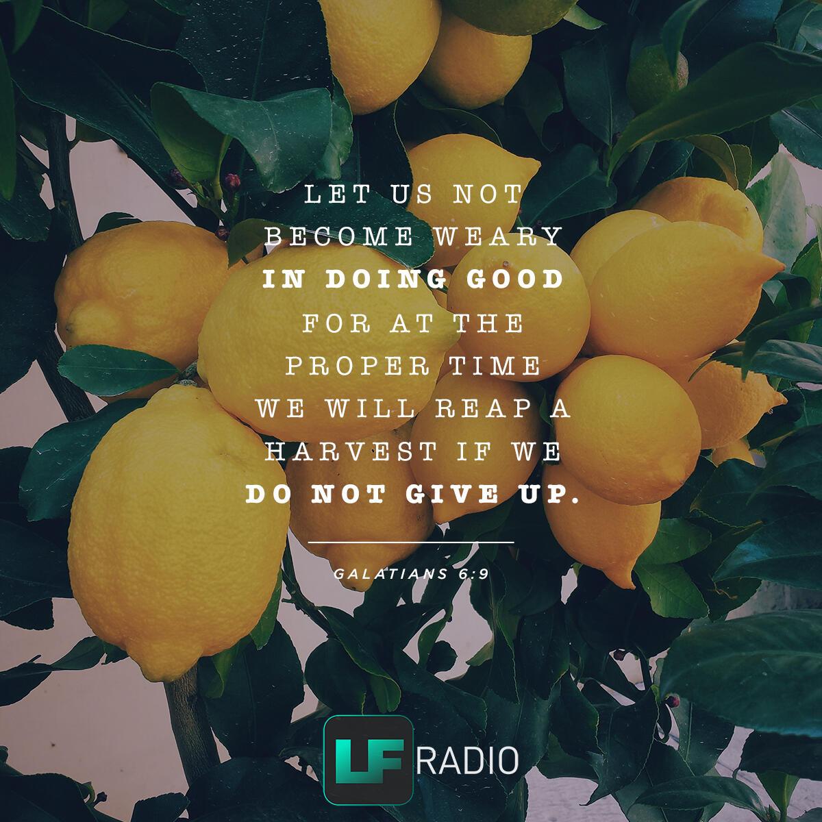 Galatians 6:9 - Verse of the Day