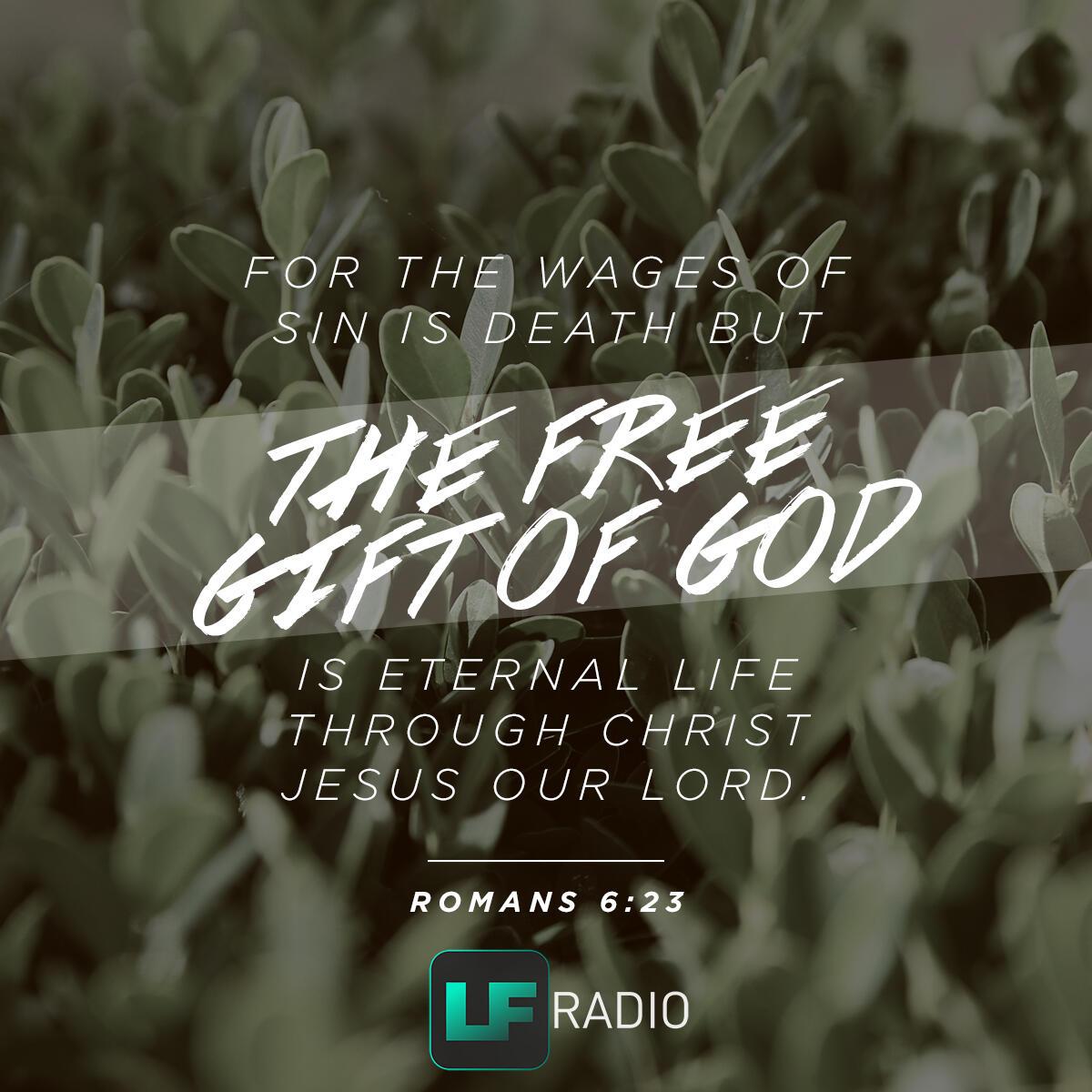 Romans 6:23 - Verse of the Day
