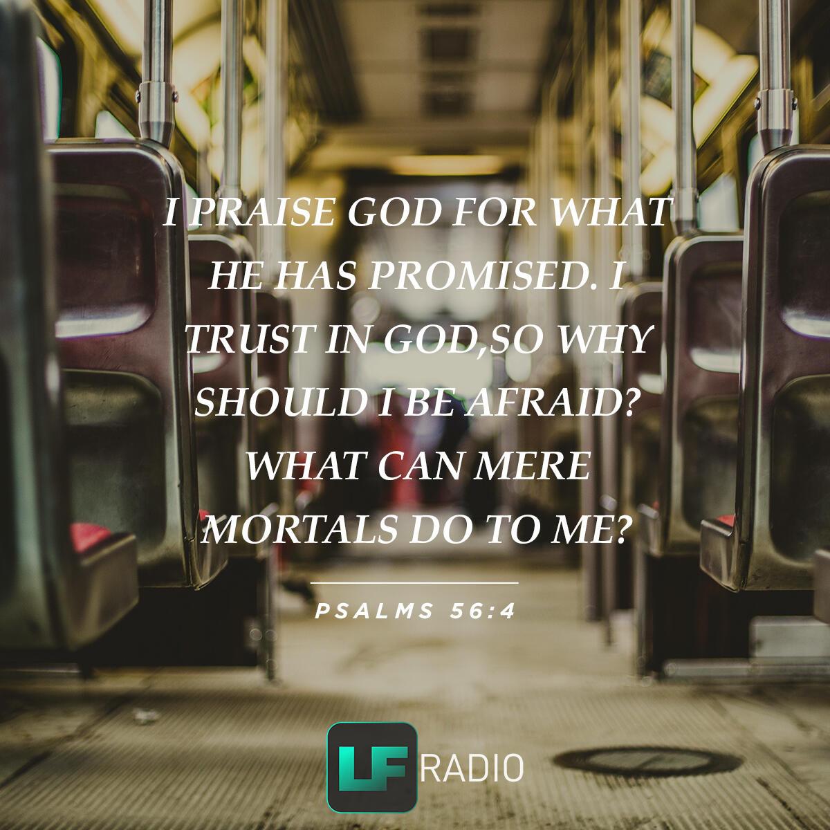 Psalms 56:4 - Verse of the Day