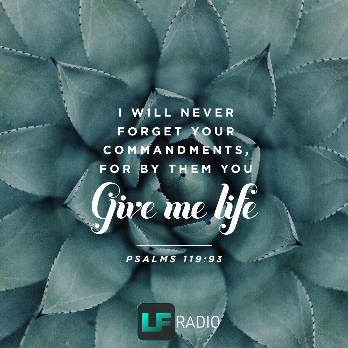 Psalms 119:93 - Verse of the Day