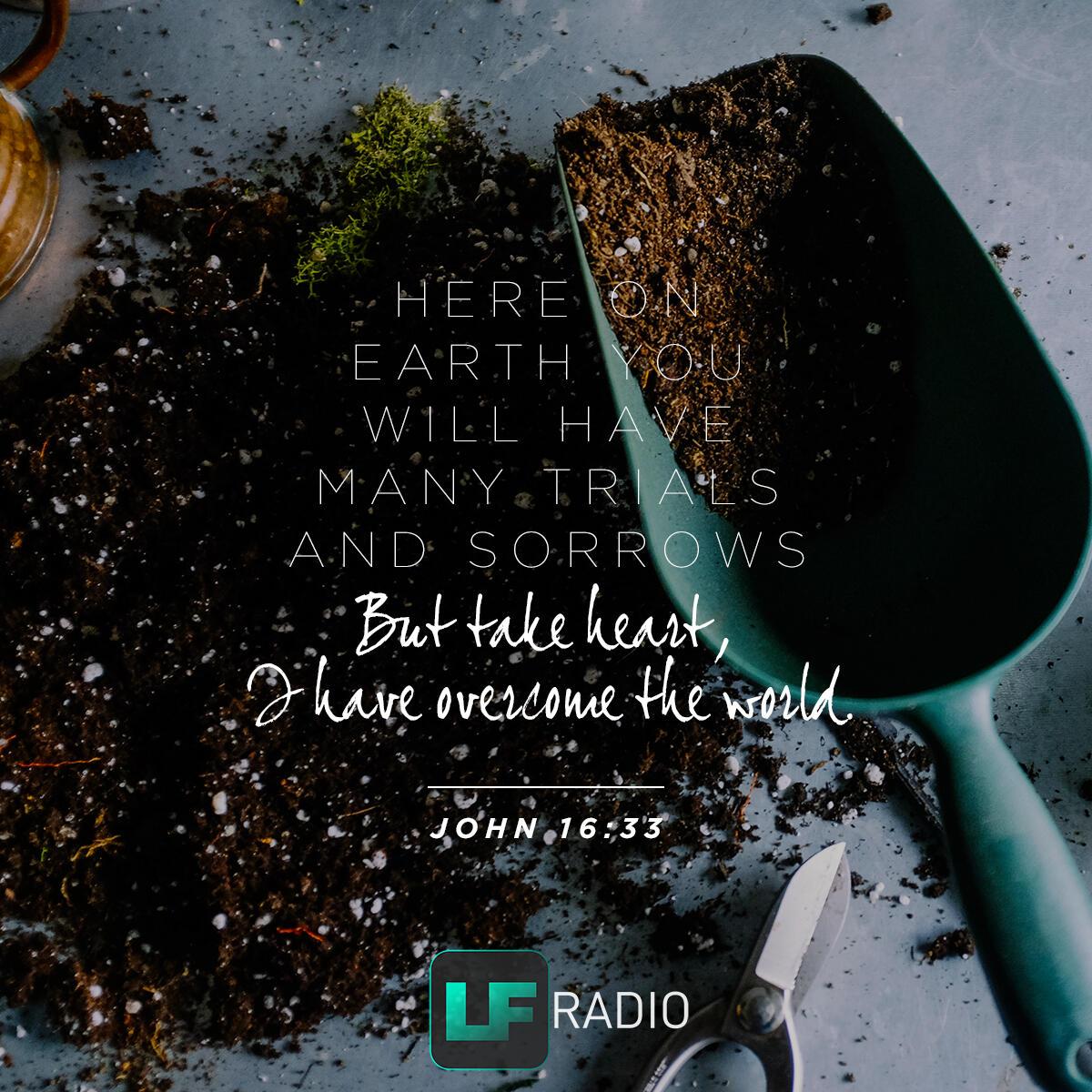 John 16:33 - Verse of the Day