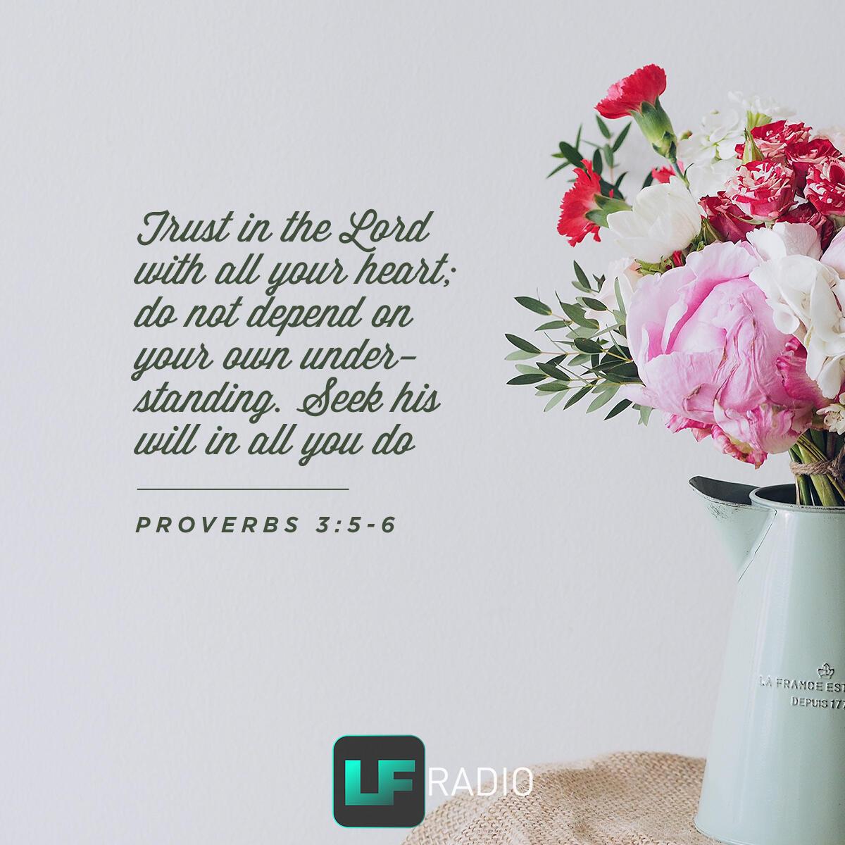 Proverbs 3:5-6 - Verse of the Day