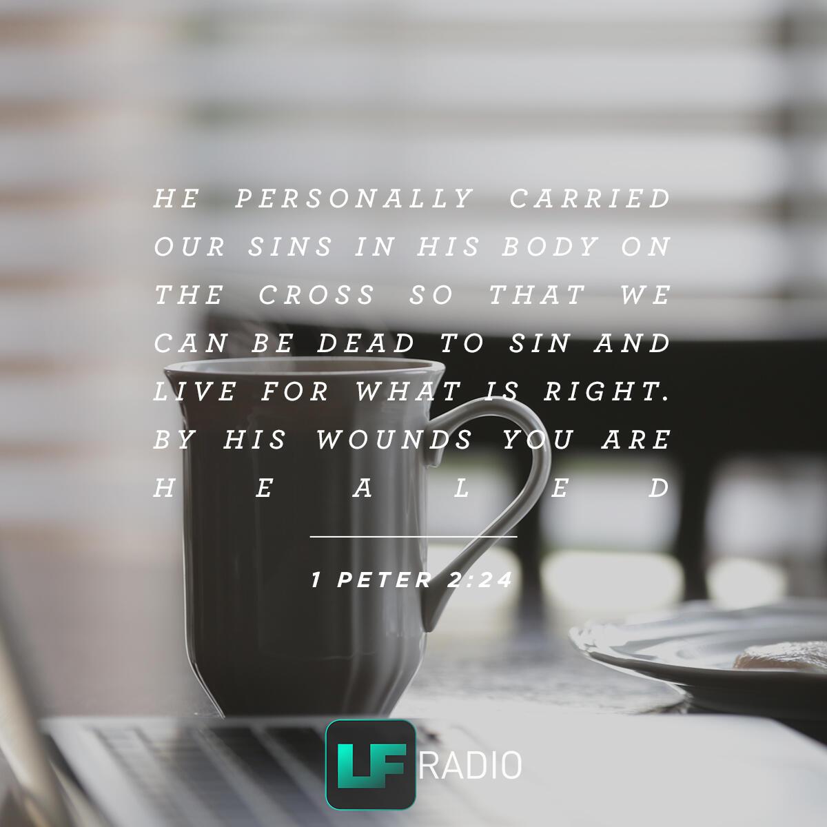 1 Peter 2:24 - Verse of the Day