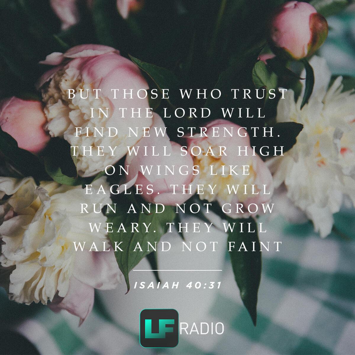 Isaiah 40:31 - Verse of the Day