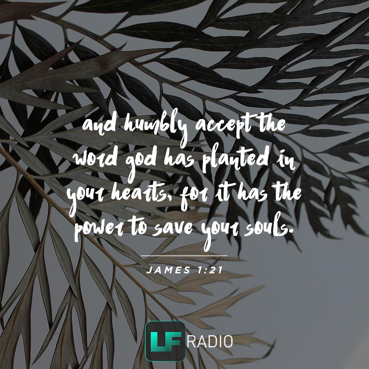 James 1:21 - Verse of the Day