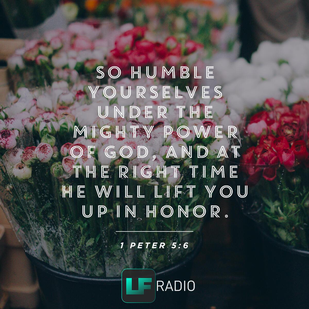 1 Peter 5:6 - Verse of the Day