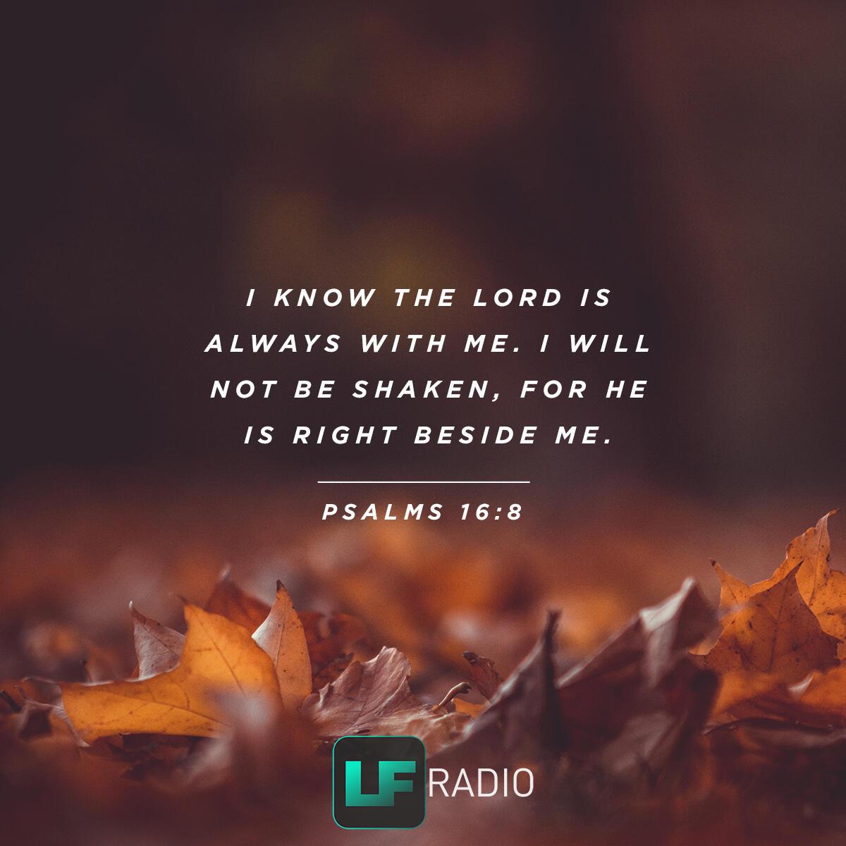 Psalms 16:8 - Verse of the Day
