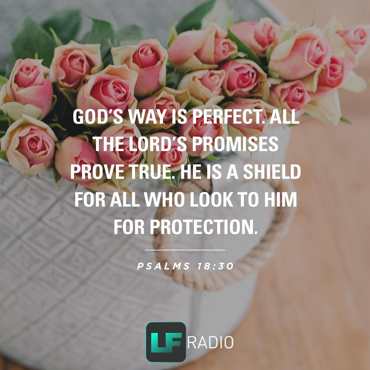 Psalms 18:30 - Verse of the Day