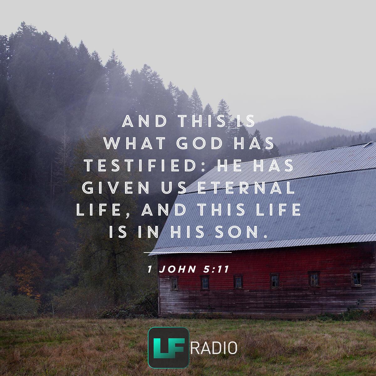 1 John 5:11 - Verse of the Day