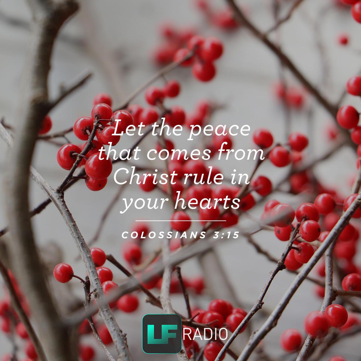 Colossians 3:15 - Verse of the Day