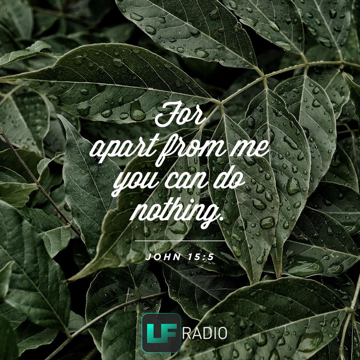 John 15:5 - Verse of the Day