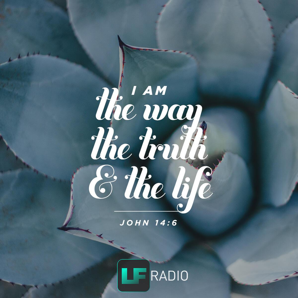 John 14:6 - Verse of the Day