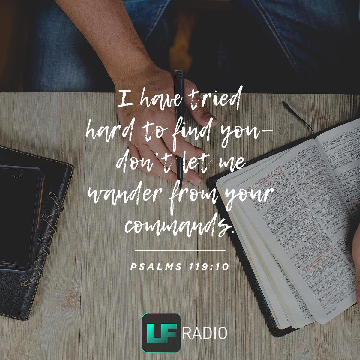 Psalms 119:10 - Verse of the Day