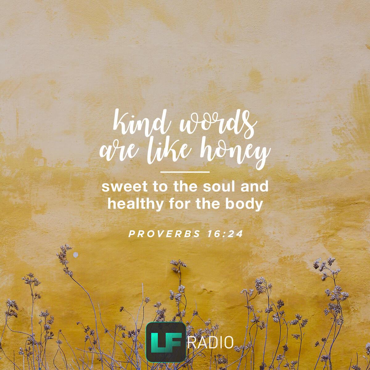 Proverbs 16:24 - Verse of the Day