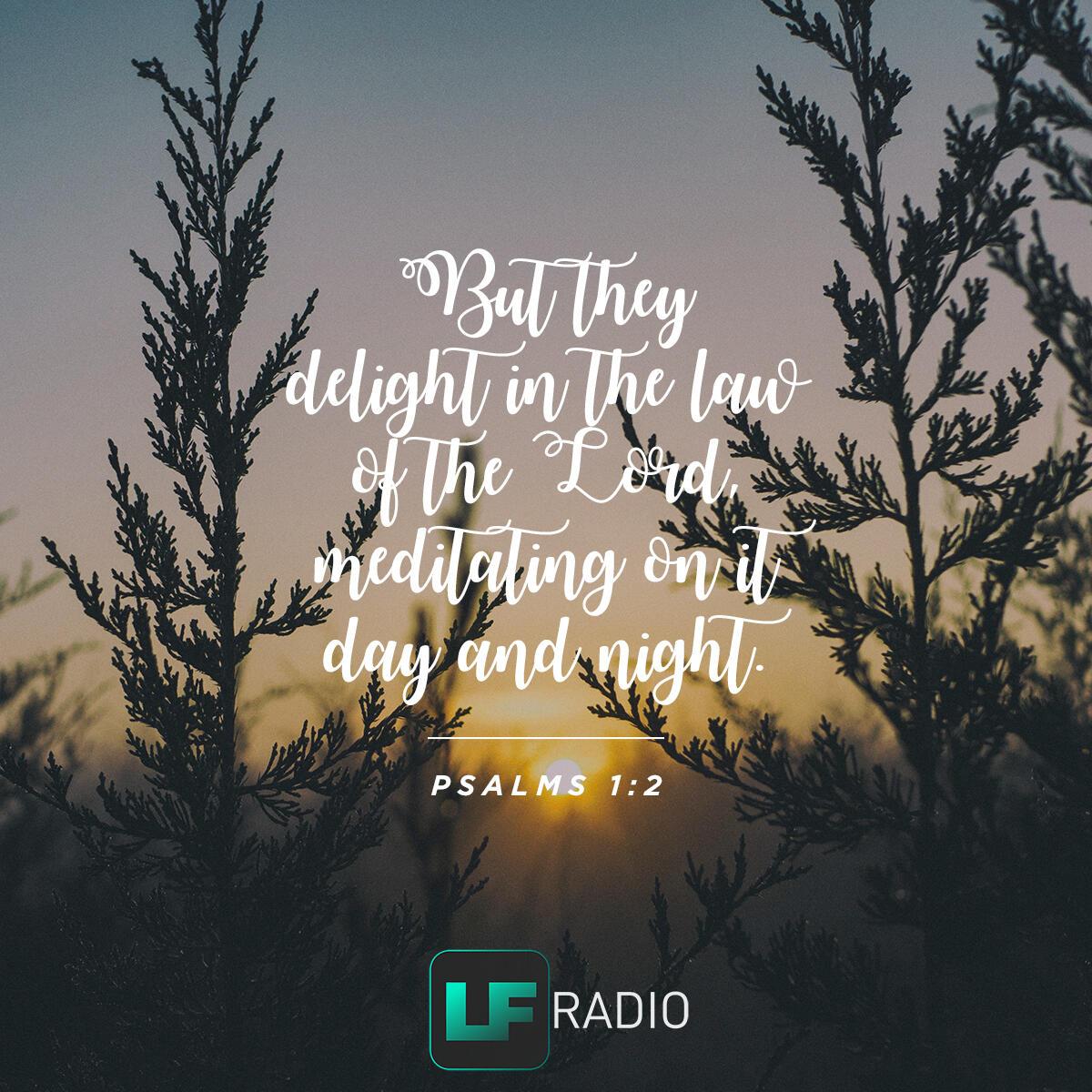 Psalms 1:2 - Verse of the Day