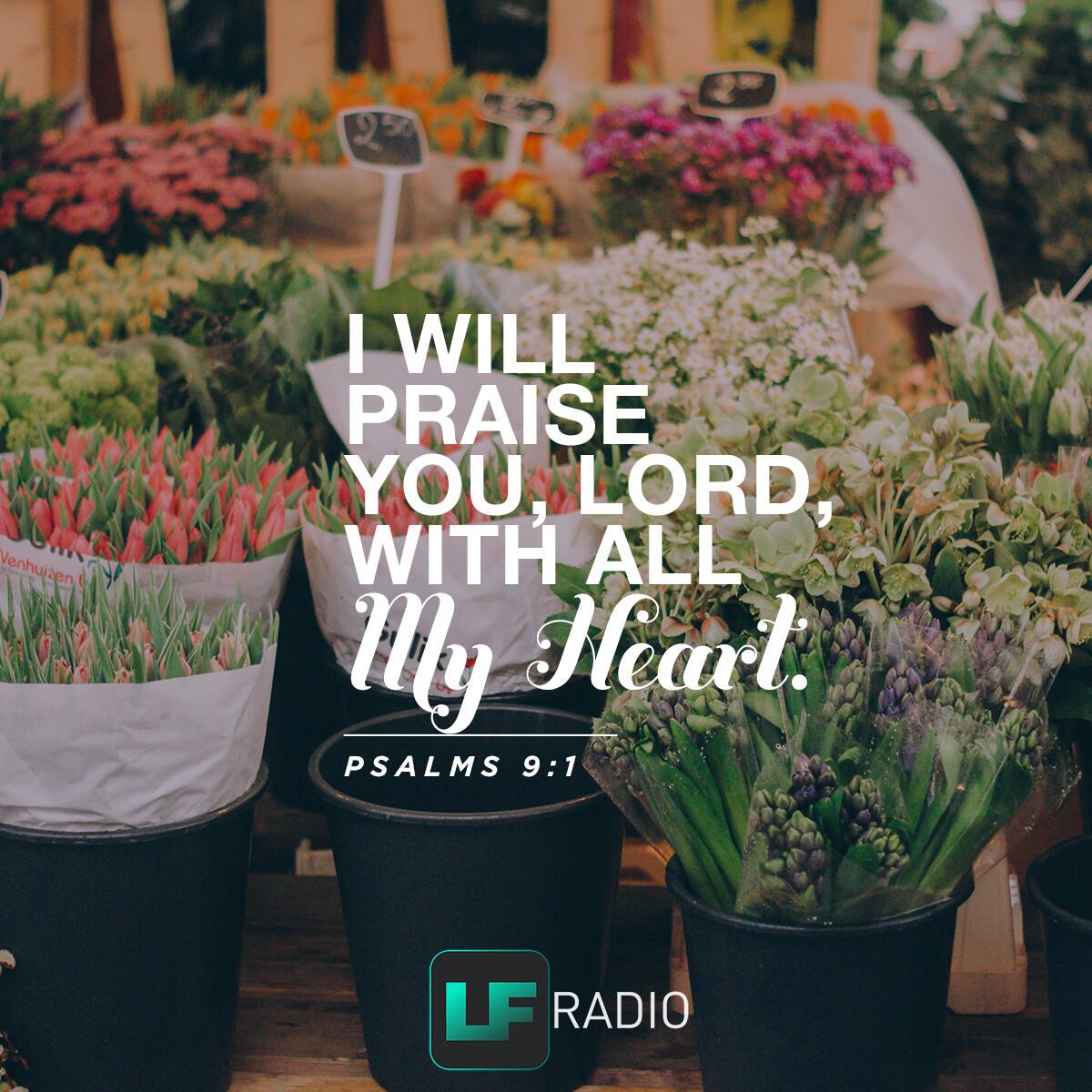 Psalms 9:1 - Verse of the Day