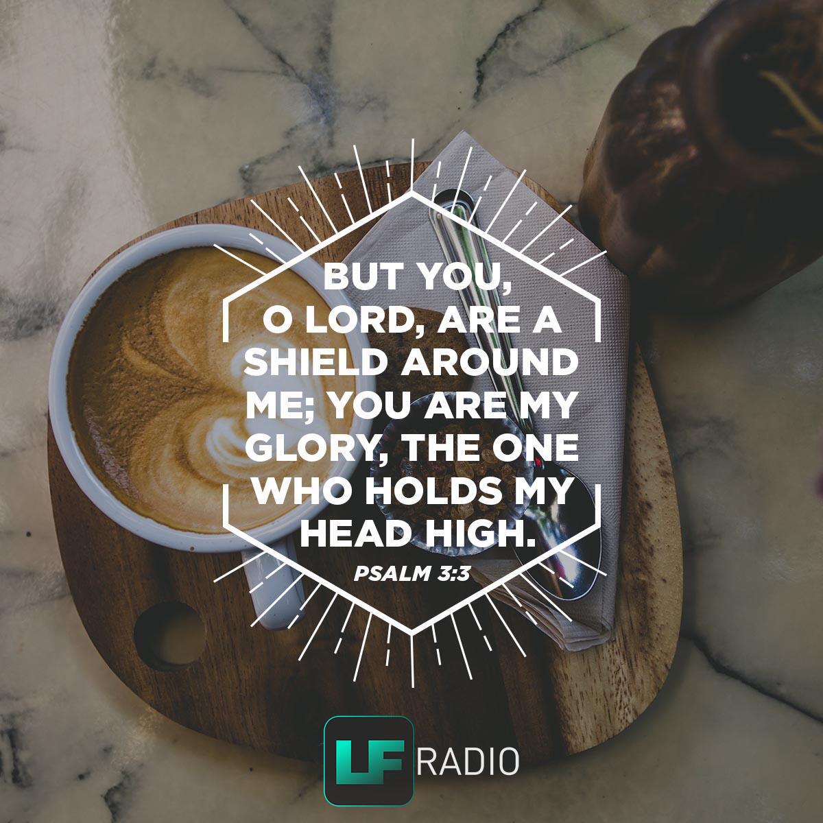 Psalm 3:3 - Verse of the Day