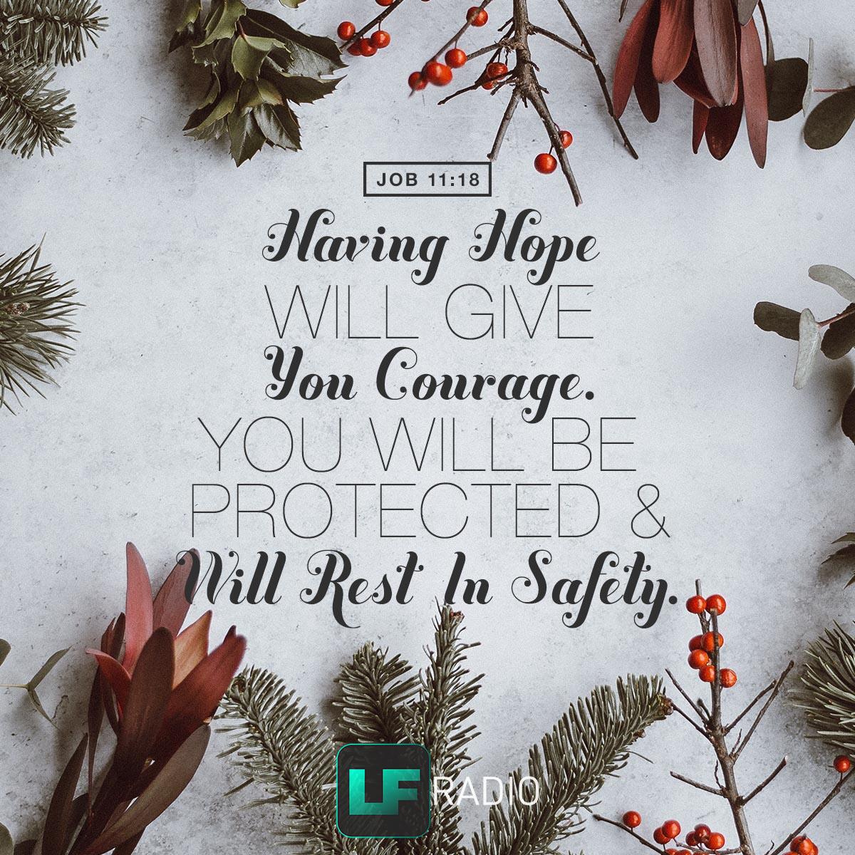 Job 11:18 - Verse of the Day