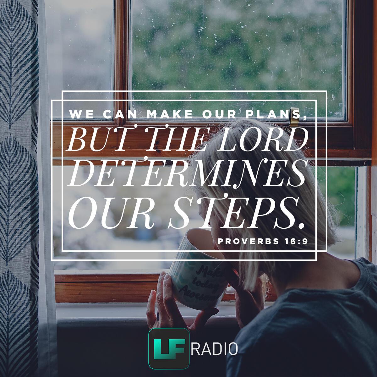 Proverbs 16:9 - Verse of the Day