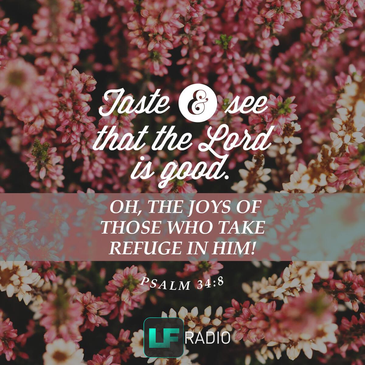 Psalm 34:8 - Verse of the Day