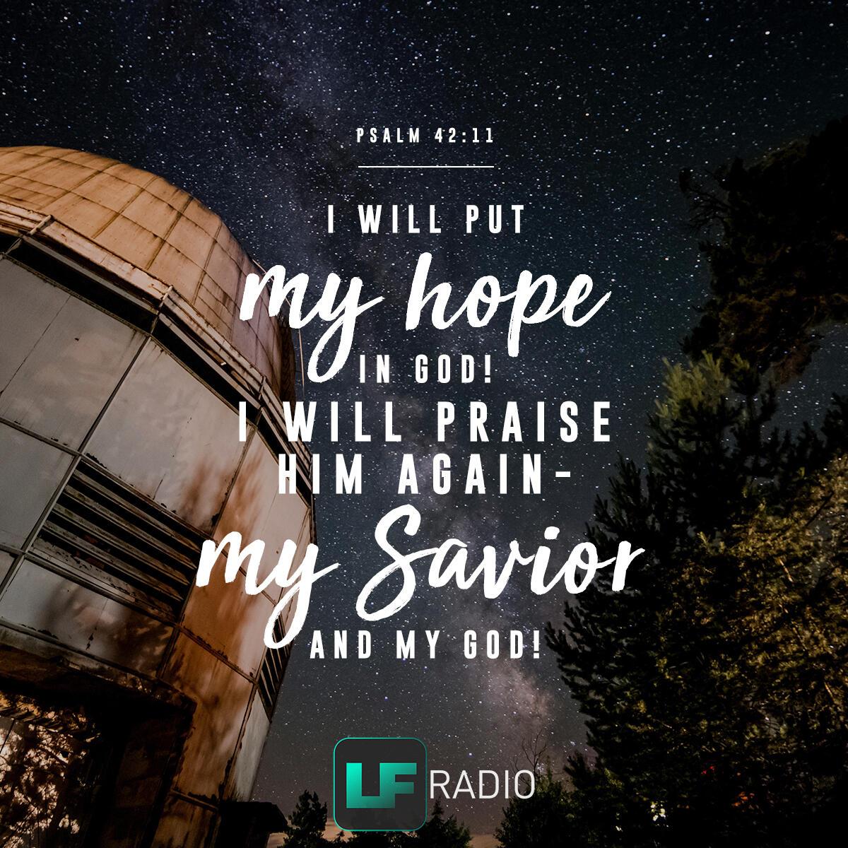 Psalm 42:11 - Verse of the Day